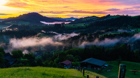 Red Light Therapy Promotes Recovery