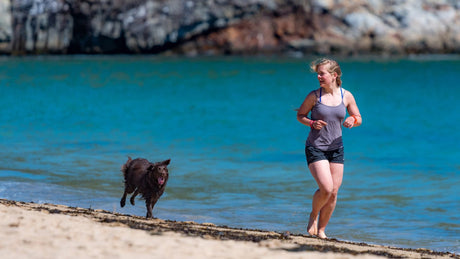 Principle of Action of EMS Microcurrent Beauty Device