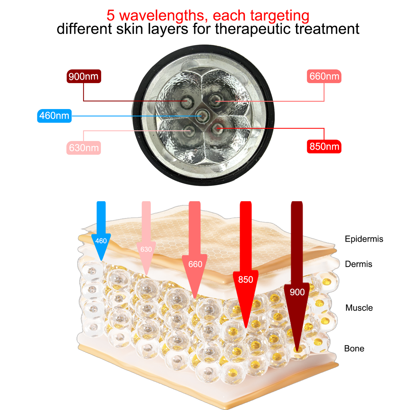 Fda Cleared ELVISH Cold Sore Treatment Device, Relieves Oral Ulcers, Nasal, Ear, Knee, Hand, Joint, Muscle & Nerve Pain, 460/630/660/850/900nm Wavelengths, Built-in Timer, 3 Flash Frequencies, 4 Home Modes, Teacher & Father'S Day Appreciation Gifts